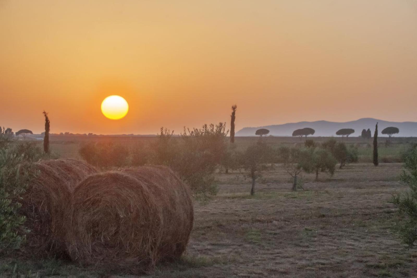 Casale Oliveta Villa Orbetello Buitenkant foto